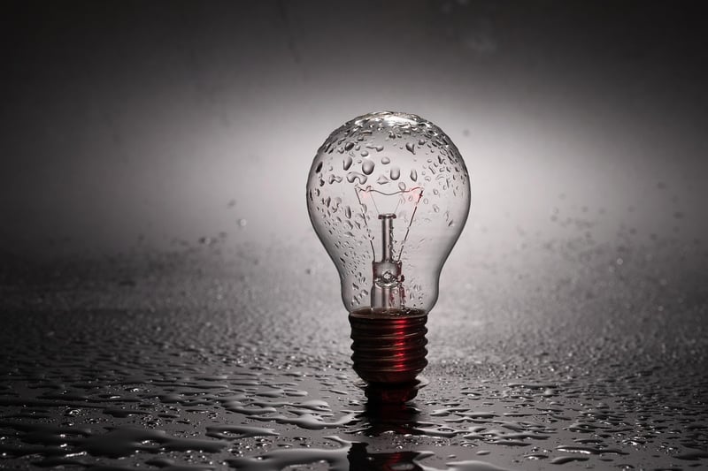 Plant light bulbs